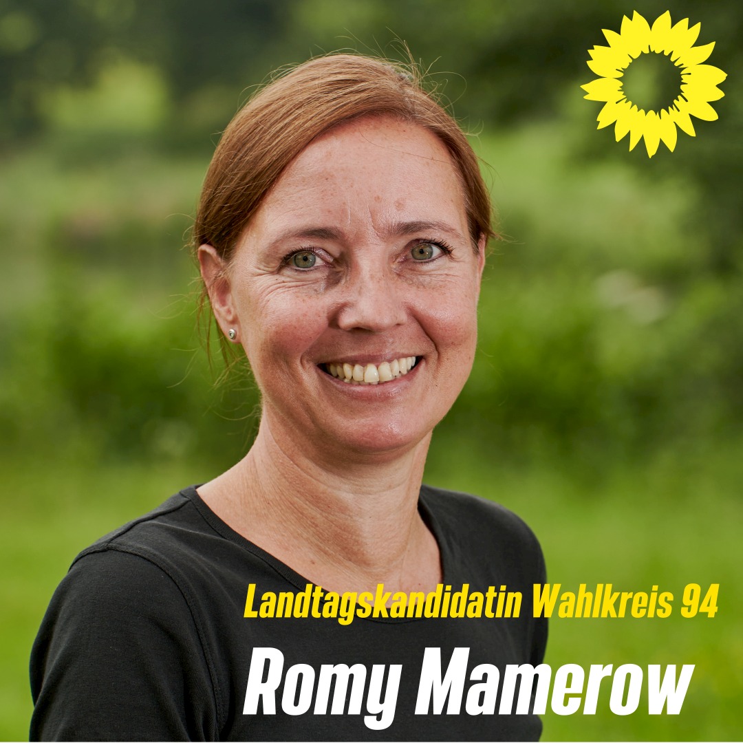 Landtagswahlkandidatin Romy Mamerow